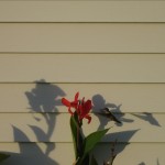 IMG_4017.JPG (672 KB)