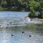 IMG_0438.JPG (1 MB)