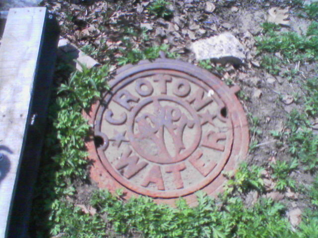 CrotonWater.bmp (900 KB)