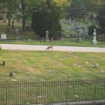 IMG_2394.JPG (764 KB)