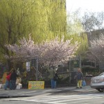 IMG_1093.JPG (2 MB)
