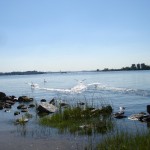 DSC04171.JPG (2 MB)