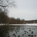 WinterVCP5.JPG (383 KB)